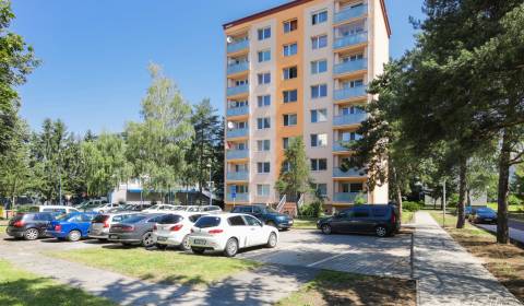 Sale Two bedroom apartment, Two bedroom apartment, Pod kaštieľom, Ilav