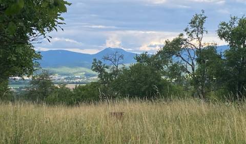 Sale Recreational land, Recreational land, Ilava, Slovakia