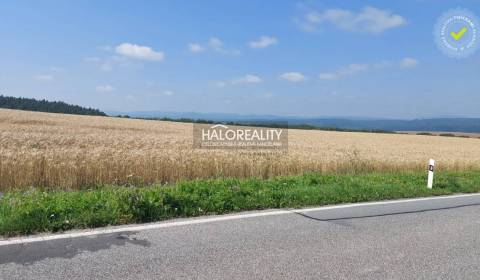 Sale Agrarian and forest land, Košice-okolie, Slovakia