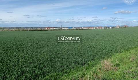 Sale Agrarian and forest land, Skalica, Slovakia