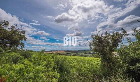 Sale Recreational land, Recreational land, Pezinok, Slovakia