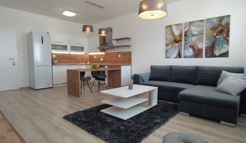 Rent One bedroom apartment, One bedroom apartment, Slávičia, Senec, Sl