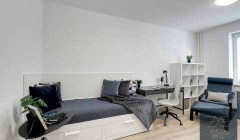 Rent Single studio, Single studio, Kyjevská, Bratislava - Nové Mesto, 