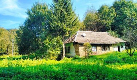 Sale Cottage, Cottage, Nové Mesto nad Váhom, Slovakia