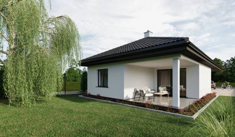 Sale Family house, Family house, Pánska niva, Hlohovec, Slovakia