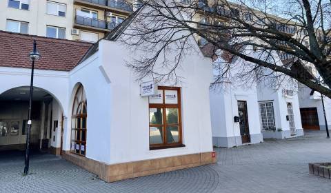 Rent Offices, Offices, Námestie Ármina Vámberyho, Dunajská Streda, Slo