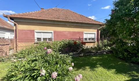 Sale Family house, Family house, neuvedené, Dunajská Streda, Slovakia