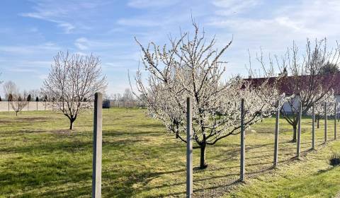 Sale Land – for living, Land – for living, Jahodná, Dunajská Streda, S