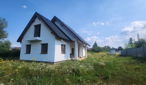 Sale Family house, Family house, Zelená Voda, Nové Mesto nad Váhom, Sl