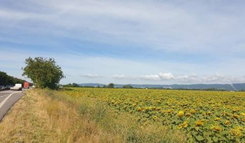 Sale Agrarian and forest land, Agrarian and forest land, Senecká cesta