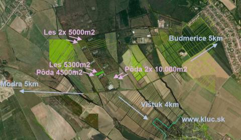 Sale Agrarian and forest land, Agrarian and forest land, Budmerice, Se