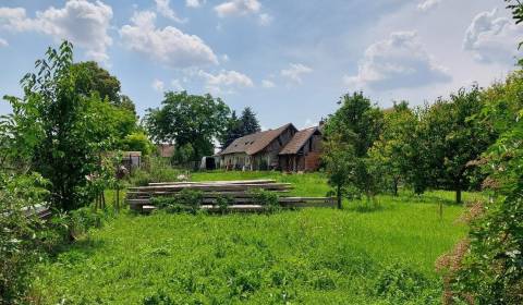 Sale Family house, Family house, Dunajská Streda, Slovakia