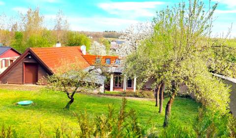 Sale Family house, Family house, Neusiedl am See, Austria