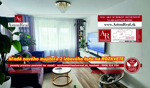 Sale One bedroom apartment, One bedroom apartment, ROZKVET, Považská B