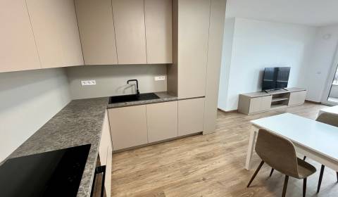 Sale One bedroom apartment, One bedroom apartment, Mateja Encingera, B