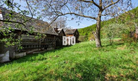 Sale Family house, Family house, Hrabcova cesta, Žarnovica, Slovakia