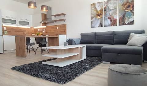 Rent One bedroom apartment, One bedroom apartment, Slávičia, Senec, Sl