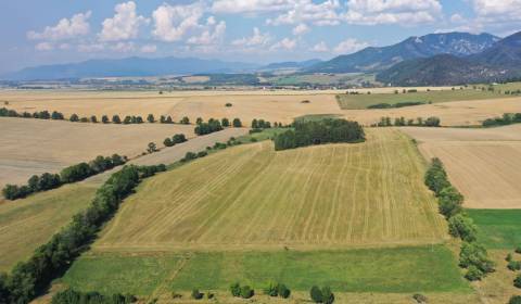 Sale Agrarian and forest land, Agrarian and forest land, Mošovce, Turč