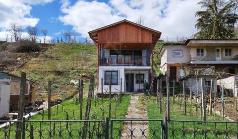 Sale Cottage, Cottage, Levice, Slovakia