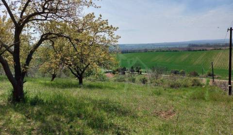 Sale Gardens, Gardens, Nové Zámky, Slovakia