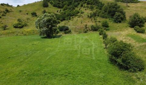 Sale Gardens, Gardens, Snina, Slovakia