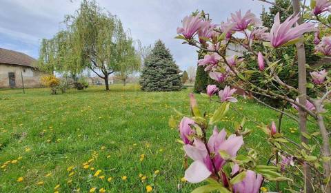 Sale Gardens, Gardens, Nové Zámky, Slovakia