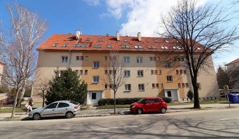 Rent One bedroom apartment, One bedroom apartment, Pod Párovcami, Pieš