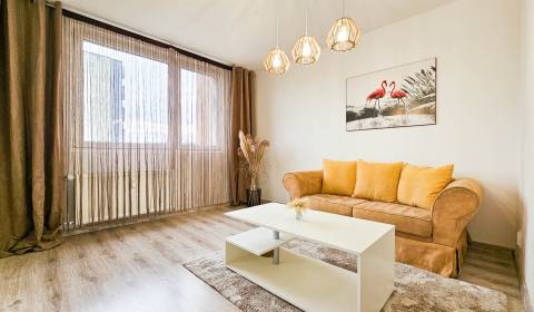 Sale One bedroom apartment, One bedroom apartment, Rašu, Bratislava - 