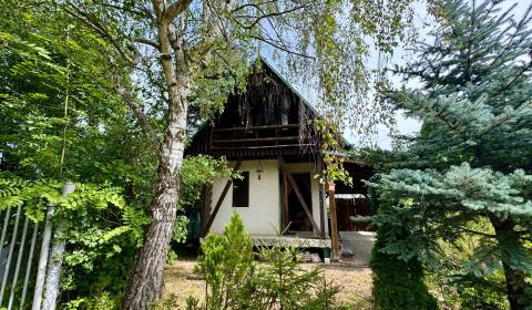 Sale Cottage, Cottage, Nové Mesto nad Váhom, Slovakia