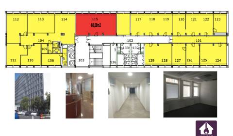 Modern Offices from 19m2 to an Entire Floor (600m2)