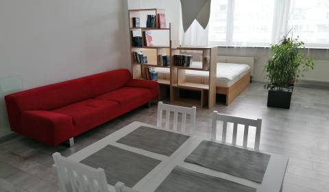 RESERVED Generous 1room apt 58m2, renovated, good location