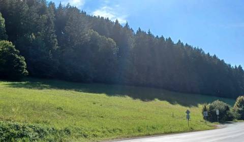 Sale Agrarian and forest land, Agrarian and forest land, Považská Byst