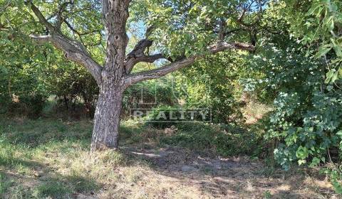 Sale Gardens, Bratislava - Čunovo, Slovakia