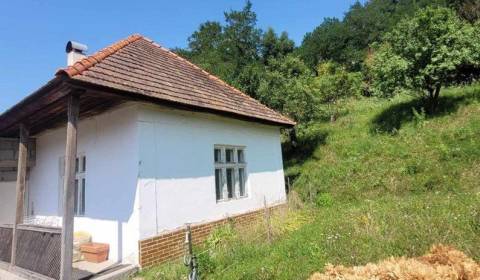 Sale Family house, Family house, Veľký Krtíš, Slovakia