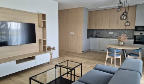 Rent Two bedroom apartment, Two bedroom apartment, Sasinkova, Pezinok,