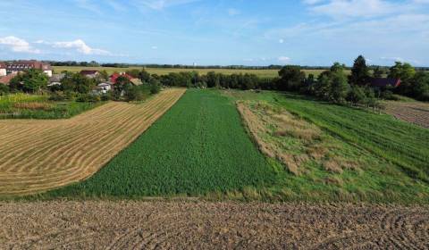 Sale Land – for living, Komárno, Slovakia