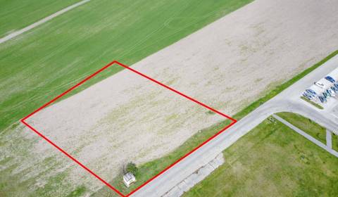 Sale Agrarian and forest land, Dunajská Streda, Slovakia