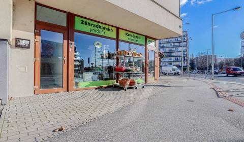 Sale Commercial premises, Dunajská Streda, Slovakia