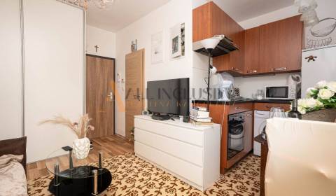 Sale Single studio, Single studio, Antolská, Bratislava - Petržalka, S