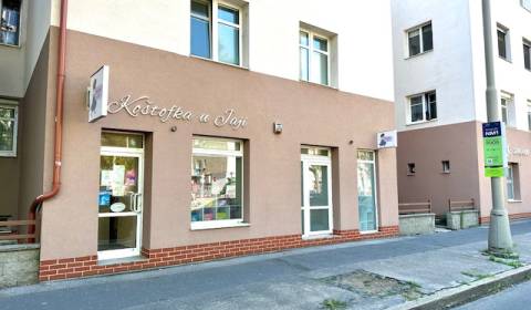 Rent Commercial premises, Commercial premises, Bratislava - Nové Mesto