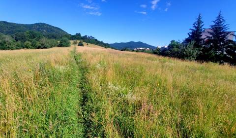 Land plots - commercial, Fraňa Kráľa, Sale, Žarnovica, Slovakia