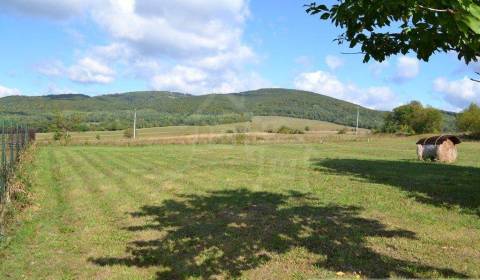 Sale Agrarian and forest land, Agrarian and forest land, Bardejov, Slo