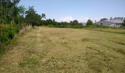 Sale Land plots - commercial, Land plots - commercial, Hlavná, Pezinok