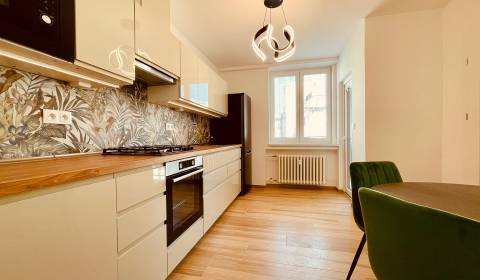 Rent Two bedroom apartment, Two bedroom apartment, Gajova, Bratislava 