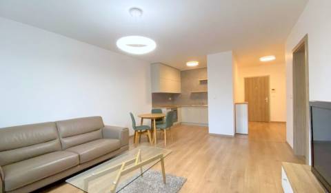 Rent One bedroom apartment, One bedroom apartment, Bratislava - Staré 