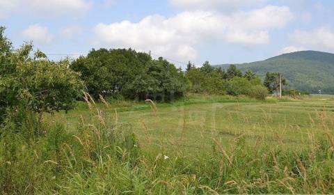 Sale Agrarian and forest land, Agrarian and forest land, Bardejov, Slo