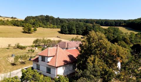 Sale Family house, Family house, Chvojnica, Myjava, Slovakia