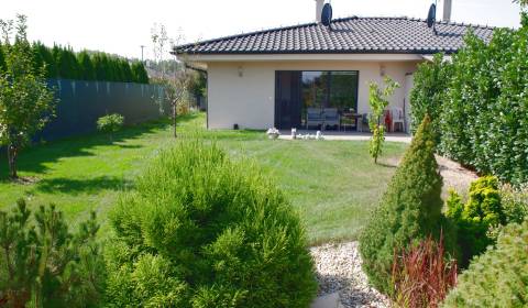 Rent Family house, Family house, Lipnicová, Senec, Slovakia