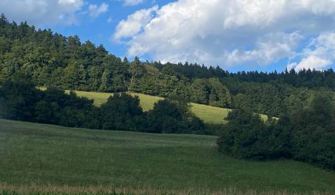 Sale Recreational land, Recreational land, Mestečko, Púchov, Slovakia