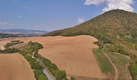 Sale Development land, Development land, Prešov, Slovakia